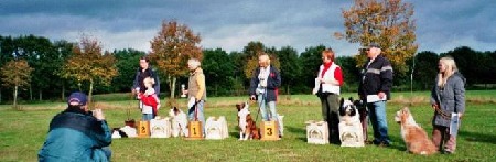 5.Rocky(Domino), 3.Cleo, 1.Drops 