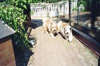 Bea und Drops vor dem Wintergarten - hier stehen auch einige gemütliche Holzhütten für die Elo´s