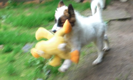 .. nichts wie weg damit