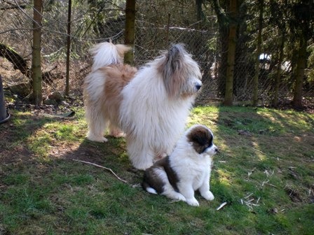 Bea la Bélle & Etsch 7 Wo.