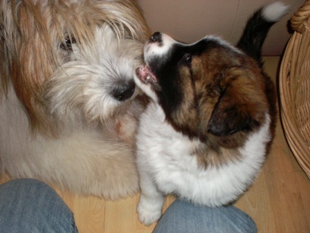 Bea mit Evita "ELLY"