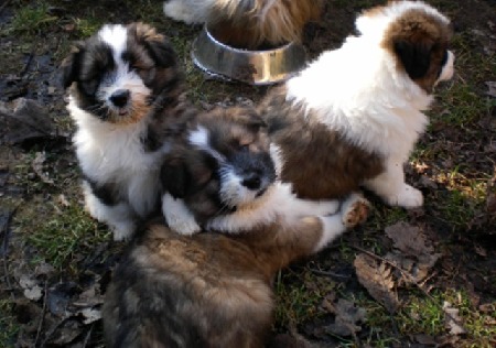 von li. "ZORA", EXXON & ETSCH