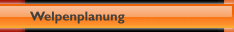 Welpenplanung 