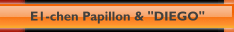E1-chen Papillon & "DIEGO"
