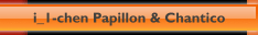 i_1-chen Papillon & Chantico